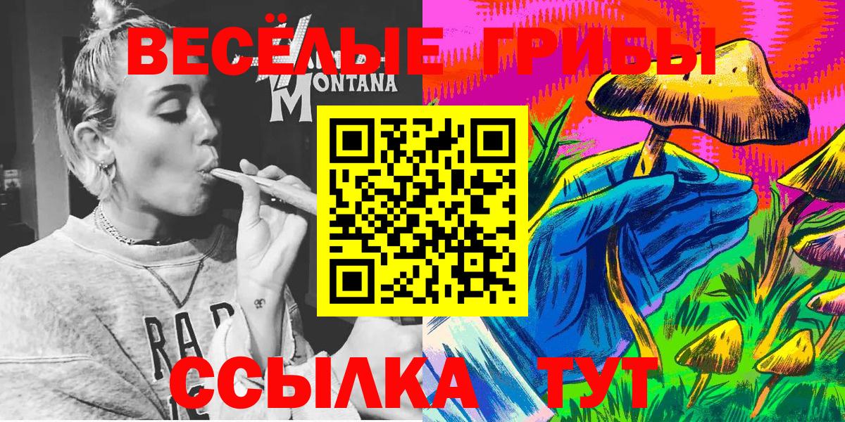 Галлюциногенные грибы Magic Shrooms  Псилоцибиновые грибы Psilocybe  Ковров  купить наркотики сайты  Вход с VPN 